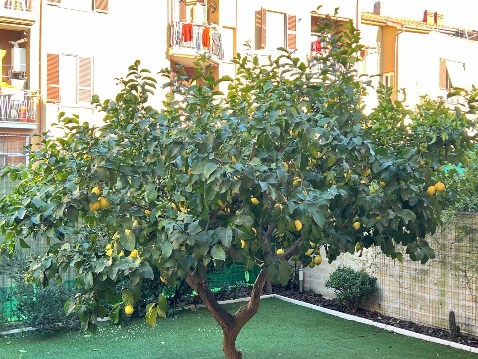 Casa Paestum. Your Wonderful Garden In Roma Dış mekan fotoğraf